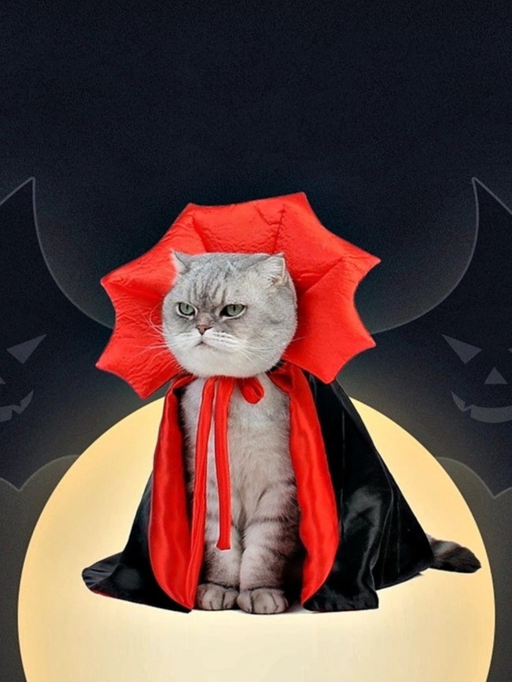 Red & Black Pet Cape Costume